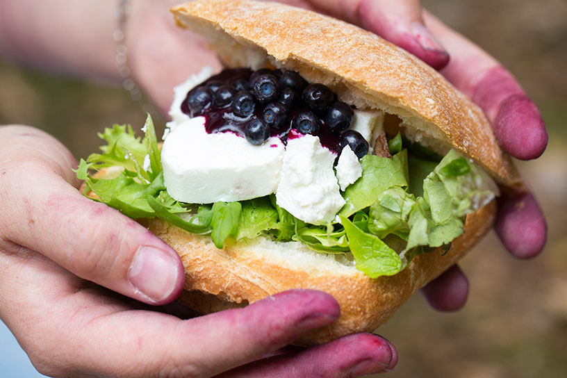 Een broodje met sla, geitenkaas en bosbessenchutney